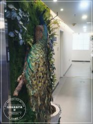 -北京炫美医疗美容