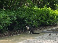 -同济大学(嘉定校区)