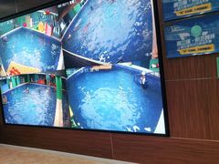 -Swim斯卫姆国际儿童游泳中心(红博中央公园店)
