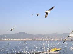 -海埂大坝