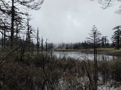 -瓦屋山景区