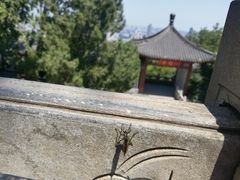 -千佛山风景名胜区