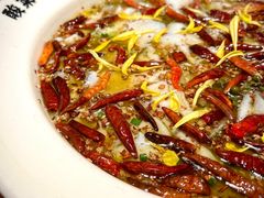 -太二酸菜鱼(汕头苏宁广场店)