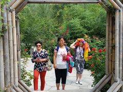 -辛玛王国游乐园