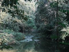 -中国科学院西双版纳热带植物园