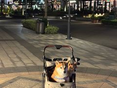 -比斯特上海购物村精品奥特莱斯