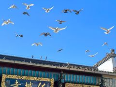 -九华山风景区