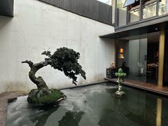 -觀芷隐轩