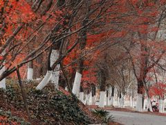-凤凰沟景区