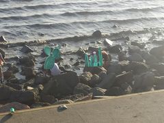 -深圳湾公园(南山区)