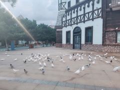 -沈阳方特欢乐世界