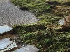 景观位-Seesaw Coffee(朝阳大悦城店)