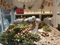 -春树下·树屋花房西餐厅(罍街AS1980店)