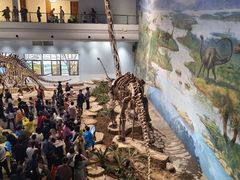 -自贡恐龙博物馆