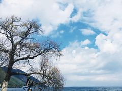-抚仙湖禄充风景区