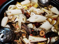 -菌之家·专业纯野生菌火锅·特色炒菌