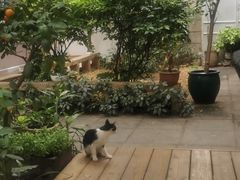 -厦门良筑精品酒店(厦门中山路店)