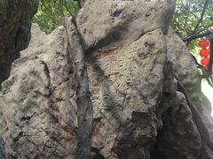 -杭州西湖风景名胜区-三生石