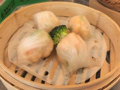 -新世纪大酒楼·30年南海菜
