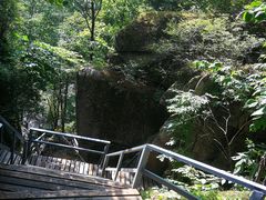 -五营红松林海景区