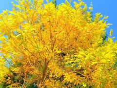 -亚马逊丛林水乐园