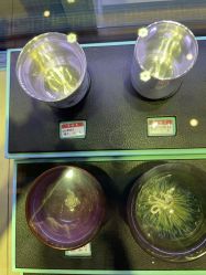 -子佩集(厦门店)