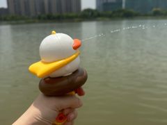 -金沙湖公园