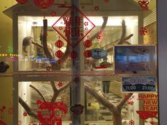 -龙猫仔乐园(惠福东路店)