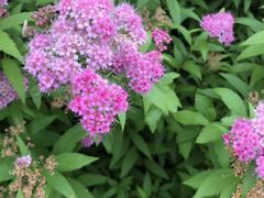 -昆山城市生态森林公园