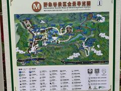 -野象谷景区