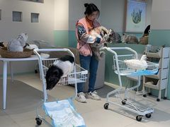 -怪兽屋·羊驼·猫咖·狗咖(俊华广场店)