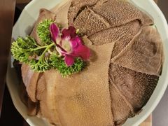 -额尔敦传统涮(体育场店)