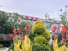 -上海交通大学医学院附属仁济医院(南院)