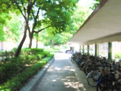-广东外语外贸大学(白云山校区)