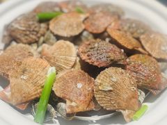 -单家老院·院子里的青岛菜(沙子口店)