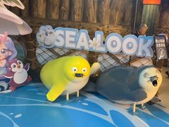 -海合安青岛极地海洋公园