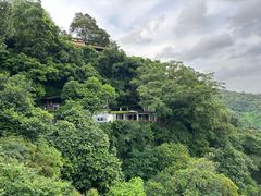 -广州市白云山风景名胜区