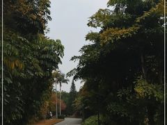 -南沙蒲洲花园
