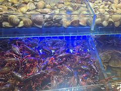 -四囍码头海鲜烧烤自助火锅(外滩南京东路悦荟广场店)