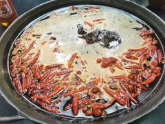 -肥龙火锅(南坪店)