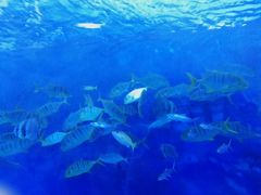 -多彩贵州城极地海洋世界