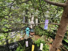 -肴约·花园式餐厅(湖里店)