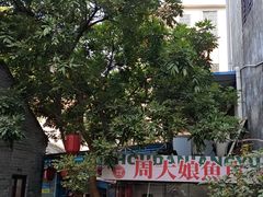 -周大娘牛乳(旧寨古村总店)