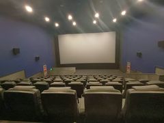 -华谊兄弟影院(IMAX洋桥店)