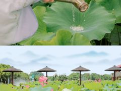 -嘉北郊野公园