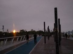 -深圳湾木棉花酒店
