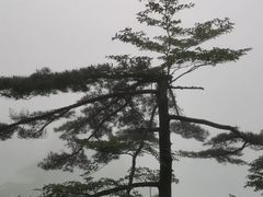 景观位-黄山风景区