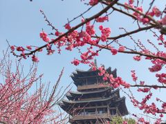 -杭州半山国家森林公园