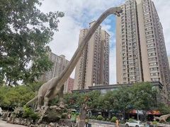 -陕西自然博物馆