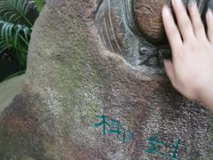 -呀诺达热带雨林